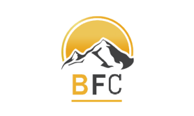 Bright Future Consultants